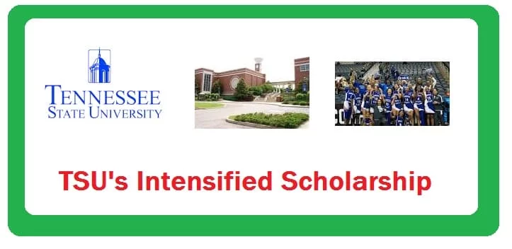 TSU's Intensified Scholarship Program: Apply Online