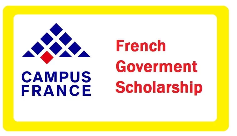 French Government Scholarship: A Great Opportunity for Indian Students