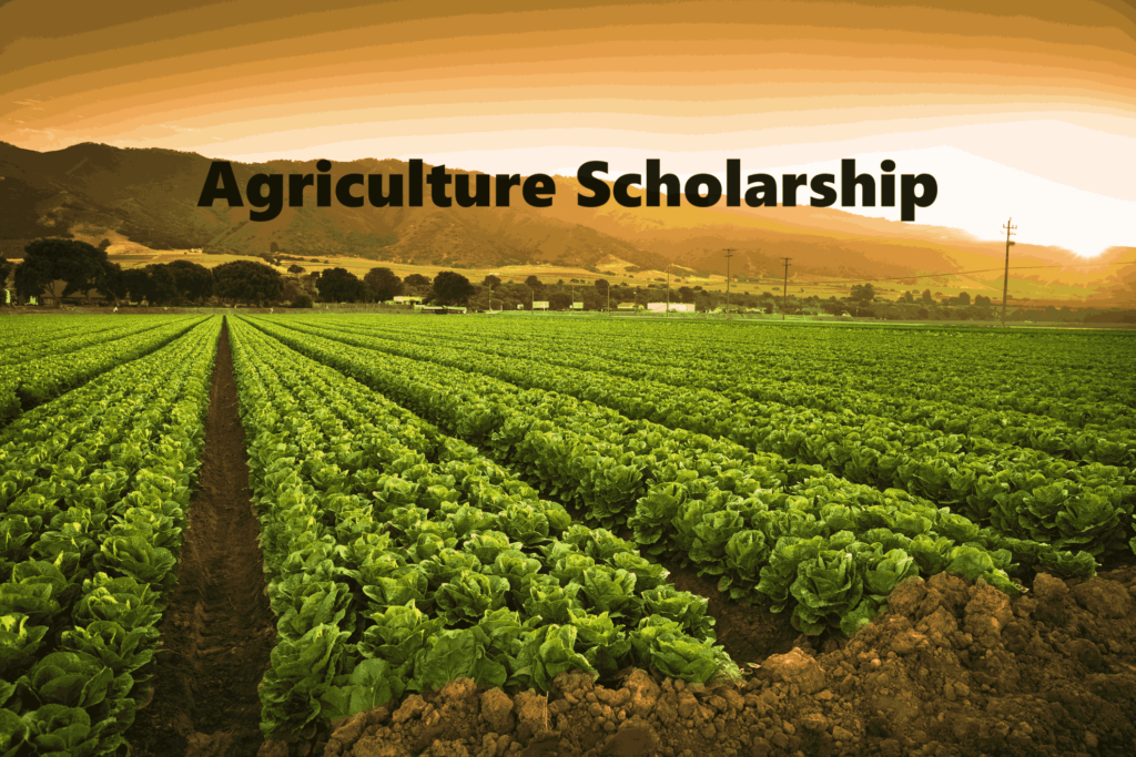 Agriculture Scholarship 2024 Apply Online Last Date Eligibility   As 11zon 1 1024x683 